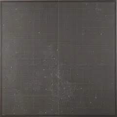 Darren Almond, Magnified System Diagram, 2000, acrylic and inkjet on 400 g somerset satin paper