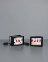 Diana Thater, A Series of Events, 2003, 2 video monitors, 2 DVD players, hard drive, synchroniser, 2 Digital BETACAM tapes, 2 DVD’s, audio cables