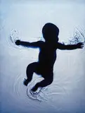 Untitled by Adam Fuss, 2007, cibachrome photogram, sold Mar 2014