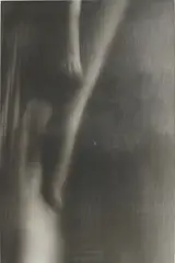 Roger Newton, Commodity Fetish, 1995, gelatin silver photograph printed on wood