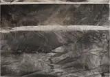 Sam Moyer, Fault Line, 2012, india ink on canvas, mounted on panel