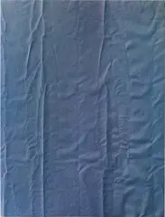 Untitled (Fold) by Tauba Auerbach, 2011, acrylic on canvas, sold May 2014