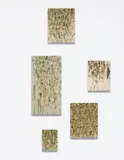 Dan Colen, Untitled, 2006 - 07, oil on canvas, in 5 parts