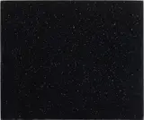 Vija Celmins, Night Sky #3, 1991, oil on canvas, laid on wood panel