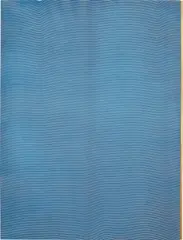 Untitled by Hugh Scott-Douglas, 2011, cyanotype on linen, sold May 2014