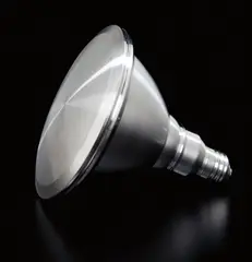 Par Bulb by Iran do Espirito Santo, 2012, stainless steel, offered May 2014
