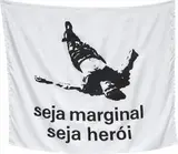 Hélio Oiticica, Seja marginal seja herói (Be an Outlaw Be a Hero)