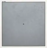 Antonio Dias, The Image, 1970, acrylic on canvas