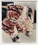 Eileen Quinlan, The Conformist, 2010, chromogenic print