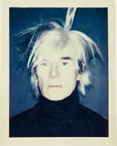 Self-Portrait (in Fright Wig) by Andy Warhol, 1986, Polacolor ER photograph, sold Sep 2014