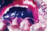 Marilyn Minter, Deep Throat