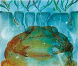 Alexis Rockman, Bufo