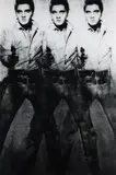 Alex Guofeng Cao, Elvis vs. Warhol, 2012, digital chromogenic print with Dibond Plexiglas