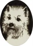 Jiří Georg Dokoupil, Dog Portrait