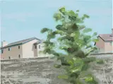 Tomory Dodge, Houses with Tree, 2002, oil on canvas