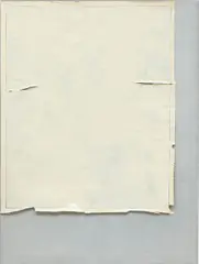 Markus Amm, Untitled, 2008, household paint on paper, laid on canvas