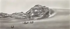 Acquatinto by Serse, 2000, graphite on paper, mounted on aluminum, offered Sep 2014