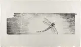 Zhang Huan, Shun No. 15