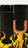 Wade Guyton, Untitled, 2006, Epson Ultrachrome inkjet on linen