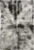 Ryan Estep, No. 3 From the Silica Sand Series, 2013, silica sand on canvas