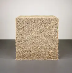 Tara Donovan, Untitled (Toothpicks), 2004, wooden toothpicks