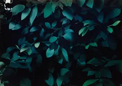 Hecke (Hedge) by Thomas Demand, 1996, chromogenic print, Diasec mounted, sold Nov 2014