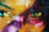 Marilyn Minter, Mardi Gras, 2007, chromogenic print