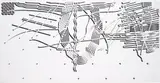 Pablo Siquier, 0511, 2005, acrylic on canvas