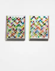 Monika Bravo, URUMU_WEAVING _TIME_4_corners, 2014, archival pigment on Polyester, mounted on glass and metal base, diptych