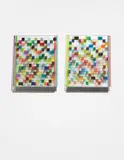 Monika Bravo, URUMU_WEAVING _TIME_4_corners, 2014, archival pigment on Polyester, mounted on glass and metal base, diptych