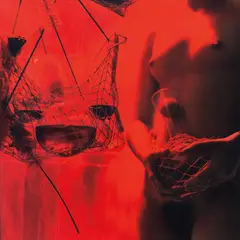 T.R. Axiomatic No. III by Tunga, 2000-2003, Fuji crystal archive print, offered Nov 2014