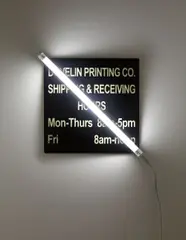 Iván Navarro, Dovelin Printing Co., 2009, mixed media, acrylic, vinyl, fluorescent light fixture
