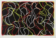 Beyond Eagles Mere by Brice Marden, 2001, Etching in colors and lithograph, on Somerset Satin paper, with full margins,, sold Apr 2014