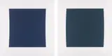 Ellsworth Kelly, Diptych: Dark Blue/Dark Green