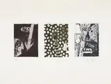 Jasper Johns, Untitled, 1981, Etching and aquatint in colors, on Rives BFK paper, with full margins,