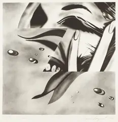 Zone by James Rosenquist, 1972, Lithograph, on Hodgkinson handmade paper, with full margins,, sold Apr 2014