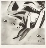 James Rosenquist, Zone, 1972, Lithograph, on Hodgkinson handmade paper, with full margins,