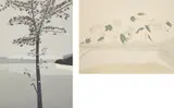 Alex Katz, Swamp Maple 2; and Late July 2