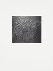 Untitled (Web 1), from The MOCA Portfolio by Vija Celmins, 2001, Mezzotint in gray, on Hahnemühle Copperplate paper, with full margins,, sold Apr 2014