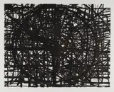 Terry Winters, Face Boundary
