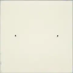 Robert Ryman, Conversion, 2003, Relief print from linoleum in white with applied carpet tacks, on aluminum panel, the full sheet,