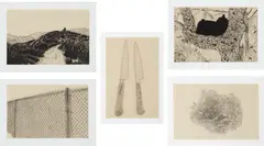 Coyote Stories by Chris Burden, 2005, The complete set of 10 etchings with aquatint in colors, on natural Gampi collé to Magnami Pescia paper, with full margi, offered Apr 2014