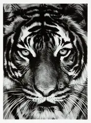Tiger by Robert Longo, 2011, Archival pigment print, on Epson hot-pressed paper, with full margins,, sold Apr 2014