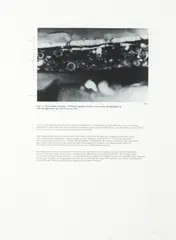 Untitled, from Exit Art by Glenn Ligon, 2003, Photogravure, on Somerset paper, with full margins,, sold Apr 2014