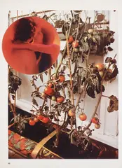The Tomato Lovers by Wade Guyton, 2006, Chromogenic print, on Fujicolor Crystal Archive Paper, with full margins,, sold Apr 2014