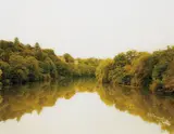 Fluans, Frankreich by Elger Esser, 2006, Chromogenic print, Diasec mounted, with full margins,, sold Oct 2014