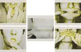 Bruce Nauman, Studies for Holograms, 1970, The complete set of five screenprints in colors, on Kromekote paper, the full sheets,
