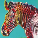 Andy Warhol, Grevy's Zebra, from Endangered Species, 1983, Screenprint in colors, on Lenox Museum Board, the full sheet,