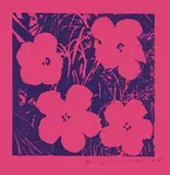 Andy Warhol, Flowers (on pink paper), 1964, Screenprint in purple, on rose red Color-aid paper (folded), with full margins,
