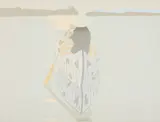 Alex Katz, Good Afternoon 2 (Gray Rowboat), 1975, Lithograph in colors, on Arches Cover paper, the full sheet,